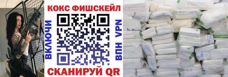 Кокаин Fish Scale  MEGA ССЫЛКА  Ирбит 