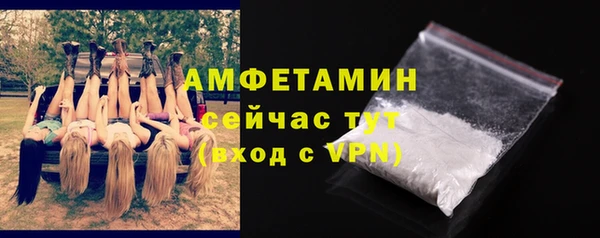 прущие крисы Ельня