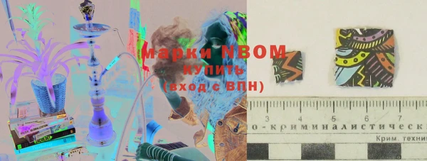 ГАЛЛЮЦИНОГЕННЫЕ ГРИБЫ Елабуга