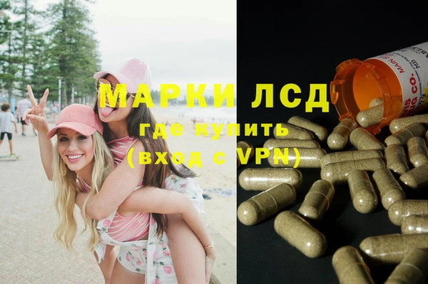 ГАЛЛЮЦИНОГЕННЫЕ ГРИБЫ Елабуга