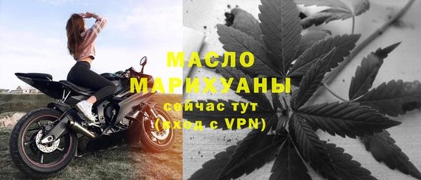 прущие крисы Ельня